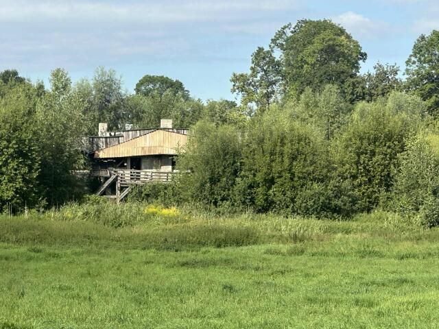 Działka Popowo Salęckie. Zdjęcie 6