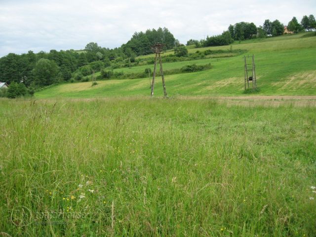 Działka budowlana Kielnarowa. Zdjęcie 4