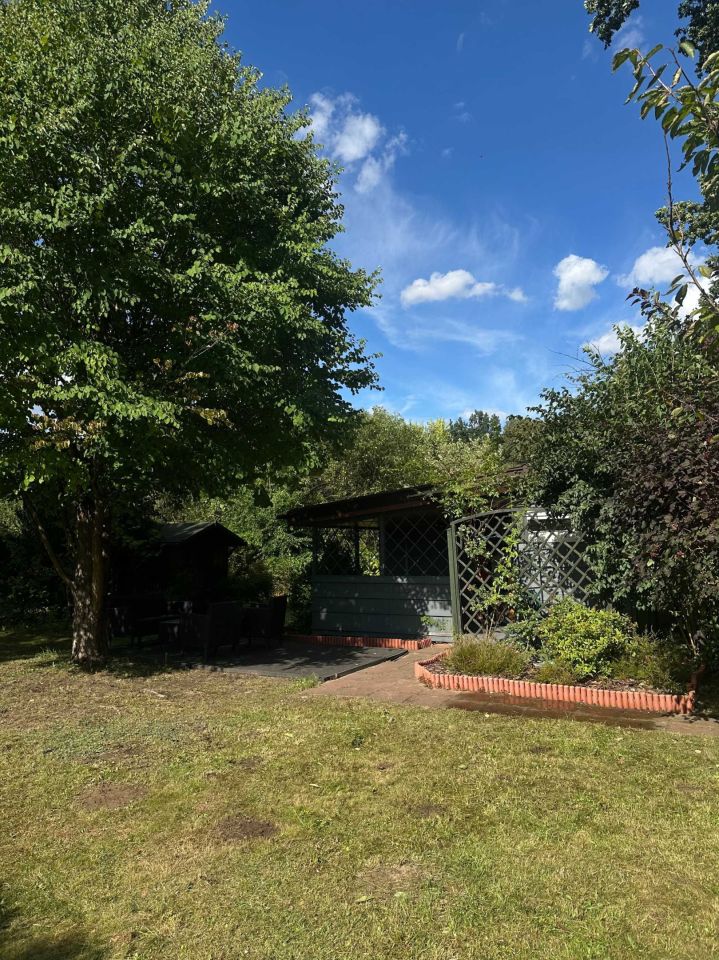 Działka rod Kanie. Zdjęcie 4