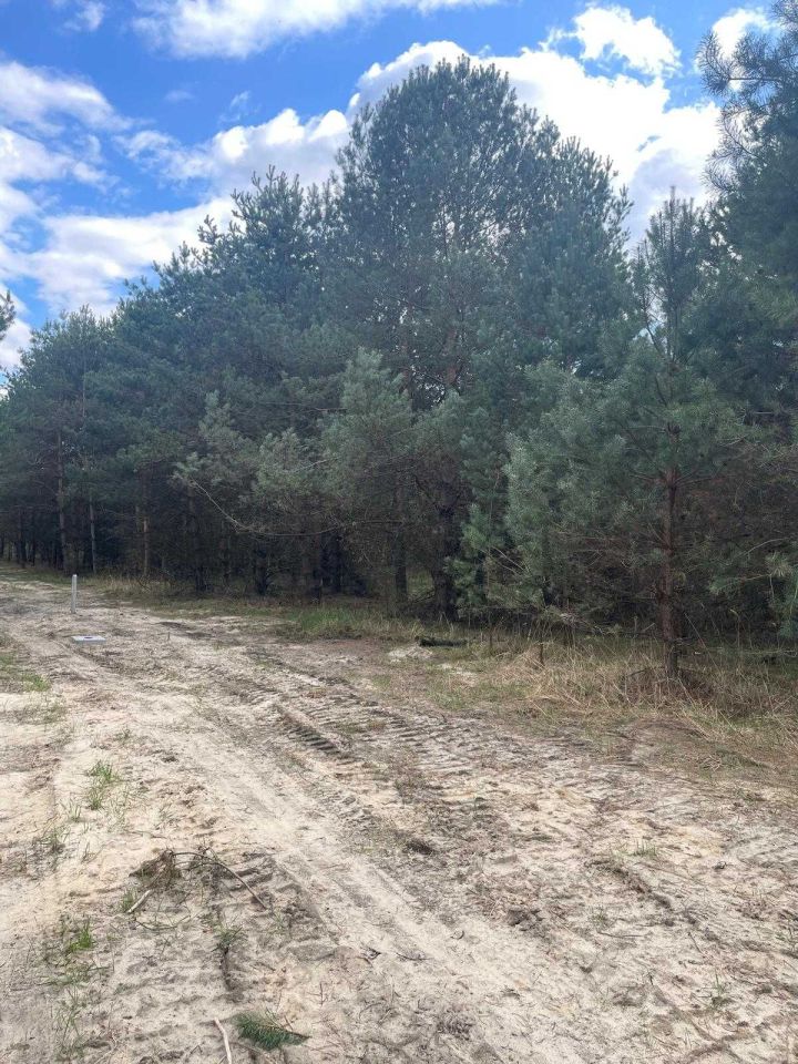 Działka rekreacyjna Stary Orzechów. Zdjęcie 2