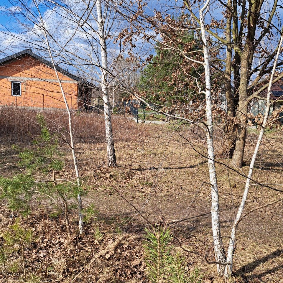 Działka budowlana Ławki, ul. Główna. Zdjęcie 3