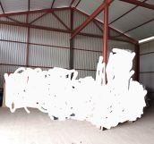 Hala/magazyn Brzoza. Zdjęcie 2