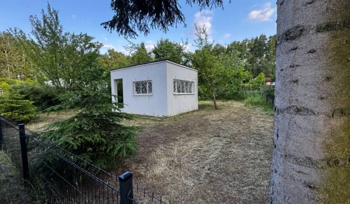 Działka rod Łódź Widzew, ul. Pszczyńska