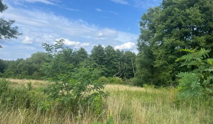 Działka budowlana Gudzisz