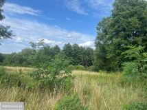 Działka budowlana Gudzisz