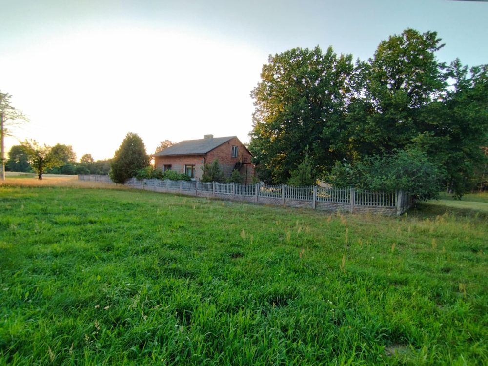 siedlisko Ścichawa. Zdjęcie 2