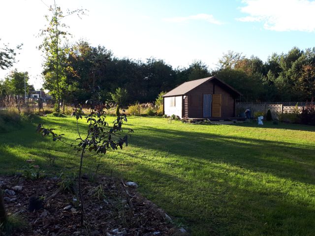 Działka rolno-budowlana Zrębice Zrębice Pierwsze, ul. Cicha. Zdjęcie 1