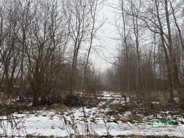 Działka inna Wodzisław Śląski, ul. Stefana Czarnieckiego. Zdjęcie 2