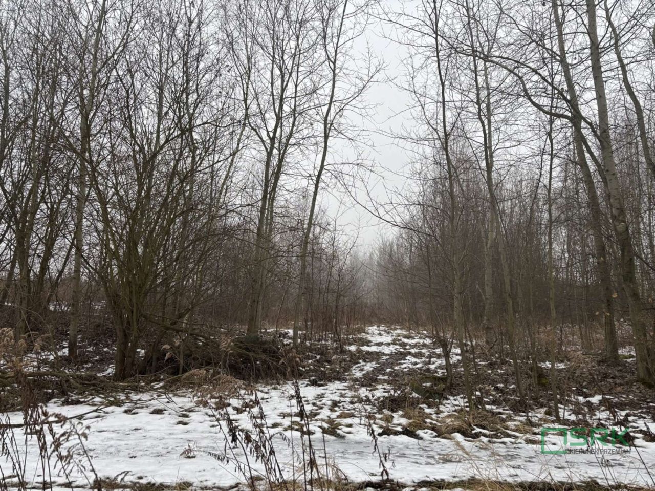 Działka inna Wodzisław Śląski, ul. Stefana Czarnieckiego. Zdjęcie 2