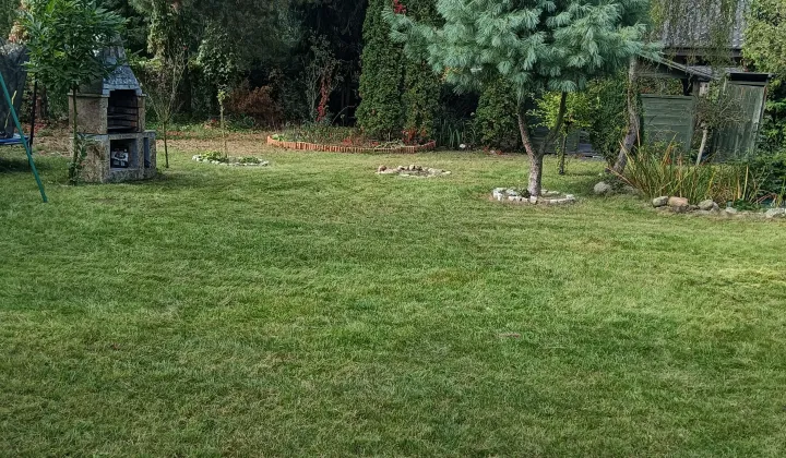 Działka rekreacyjna Owczegłowy, ul. Cisowa