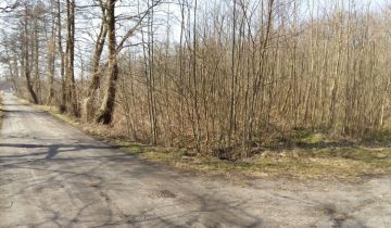 Działka rolna Lubsko