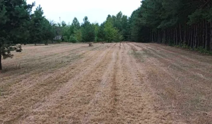 Działka budowlana Kaszewice-Kolonia