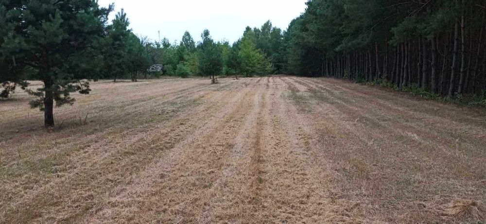 Działka budowlana Kaszewice-Kolonia