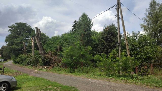 Działka rolno-budowlana Józefów. Zdjęcie 1