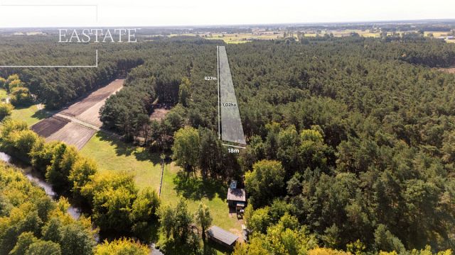 Działka leśna Maurzyce. Zdjęcie 1