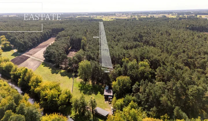 Działka leśna Maurzyce