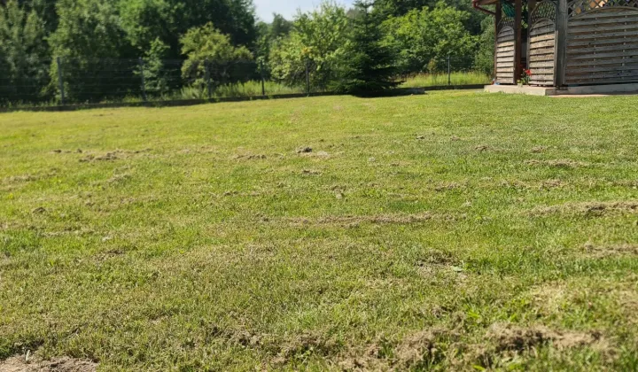 dom wolnostojący, 2 pokoje Piątkowiec