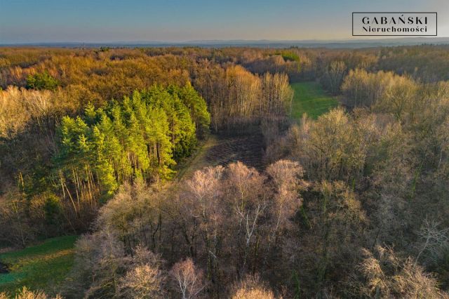 Działka budowlana Zaczarnie. Zdjęcie 2