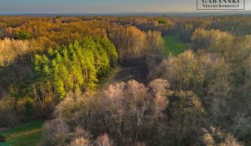 Działka budowlana Zaczarnie