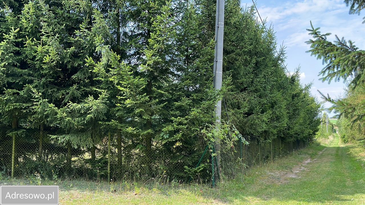 Działka rekreacyjna Rodowo Małe. Zdjęcie 6