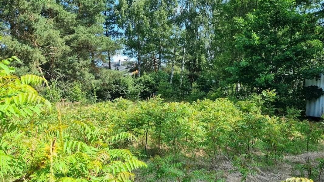 Działka rekreacyjna Demlin, Demlin. Zdjęcie 3