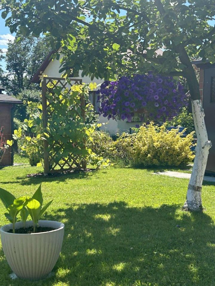 Działka rod Żory. Zdjęcie 6