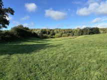 Działka rolna Nietulisko Duże. Zdjęcie 2