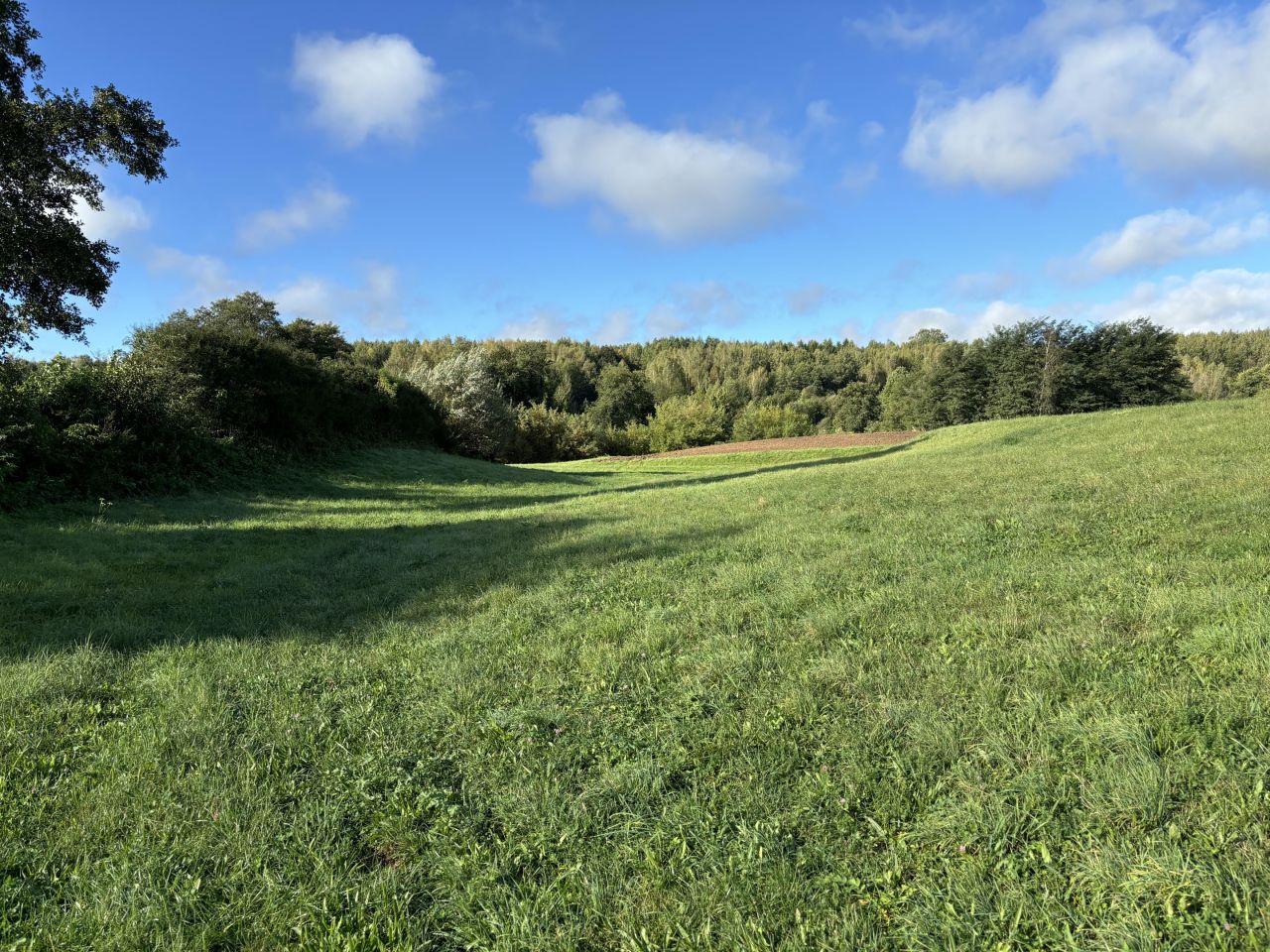 Działka rolna Nietulisko Duże. Zdjęcie 3