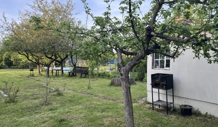 Działka rod Świdnica, ul. Śląska