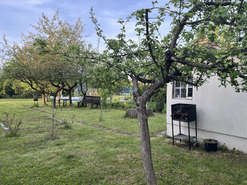 Działka rod Świdnica, ul. Śląska. Zdjęcie 1