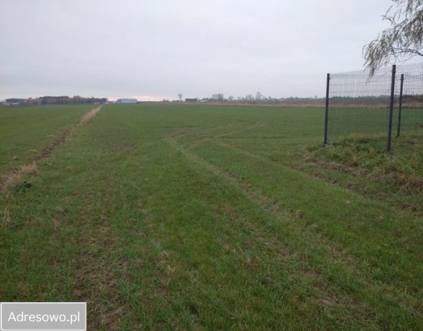 Działka rolno-budowlana Krępice, ul. Akacjowa. Zdjęcie 1