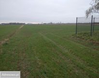 Działka rolno-budowlana Krępice, ul. Akacjowa