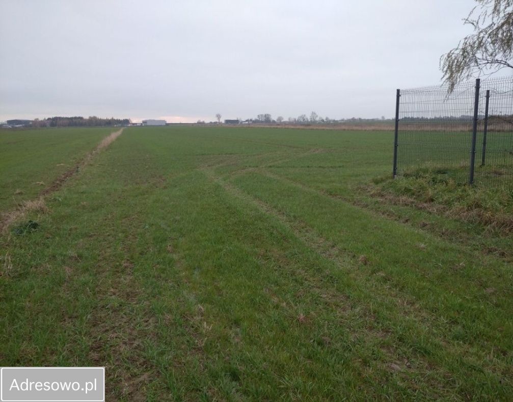 Działka rolno-budowlana Krępice, ul. Akacjowa