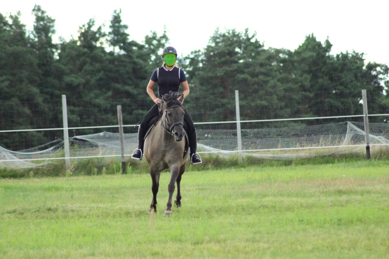 Działka rolna Jarnatów. Zdjęcie 17
