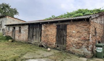 bliźniak Przybysław