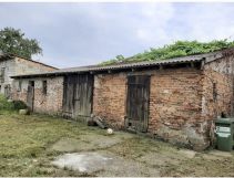 bliźniak Przybysław. Zdjęcie 1