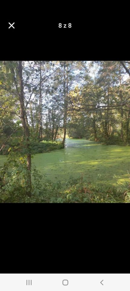 Działka siedliskowa Nowe Wymyśle. Zdjęcie 8