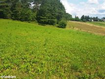 Działka rolno-budowlana Daniłowce. Zdjęcie 4