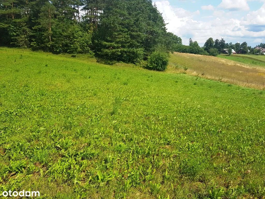 Działka rolno-budowlana Daniłowce. Zdjęcie 5