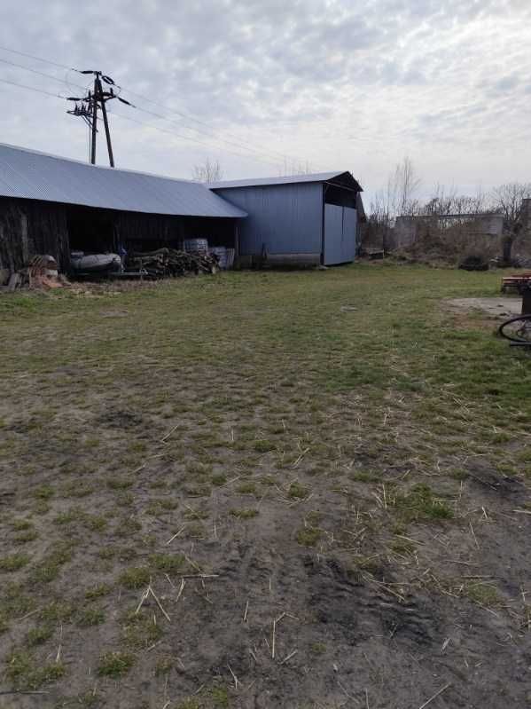 Działka rolno-budowlana Lgiń. Zdjęcie 3