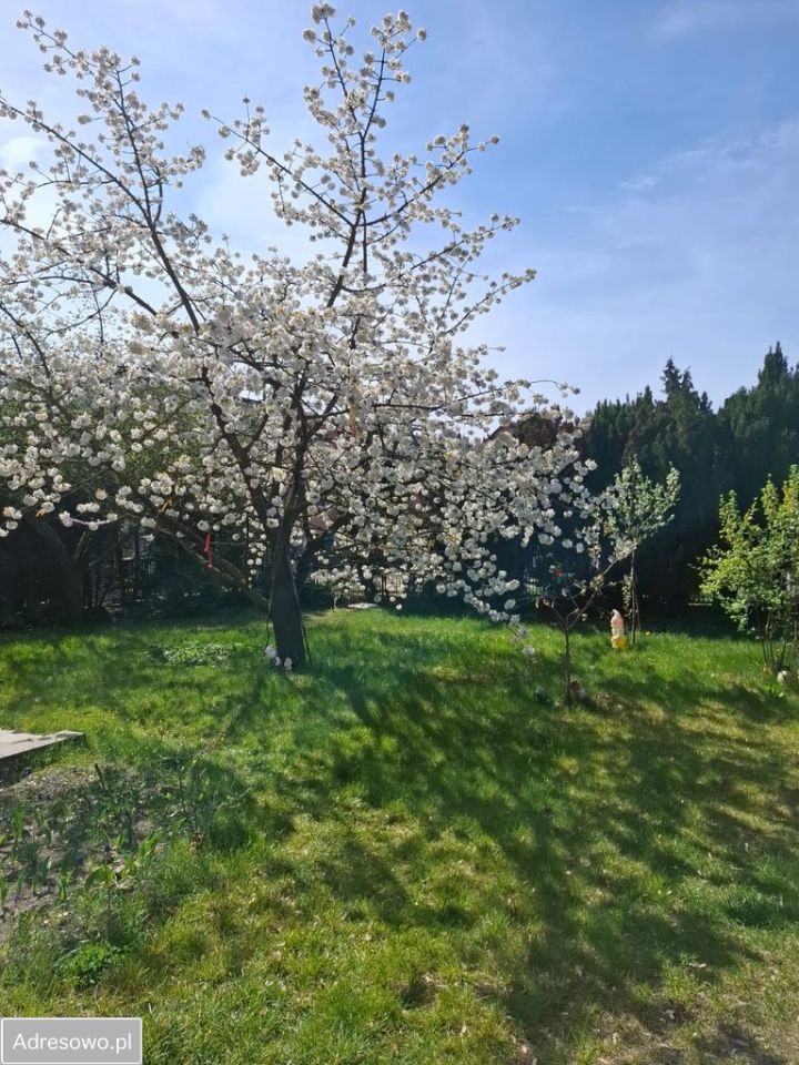 dom wolnostojący, 4 pokoje Szczecin Dąbie. Zdjęcie 6