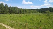 Działka budowlana Gola Wąsoska