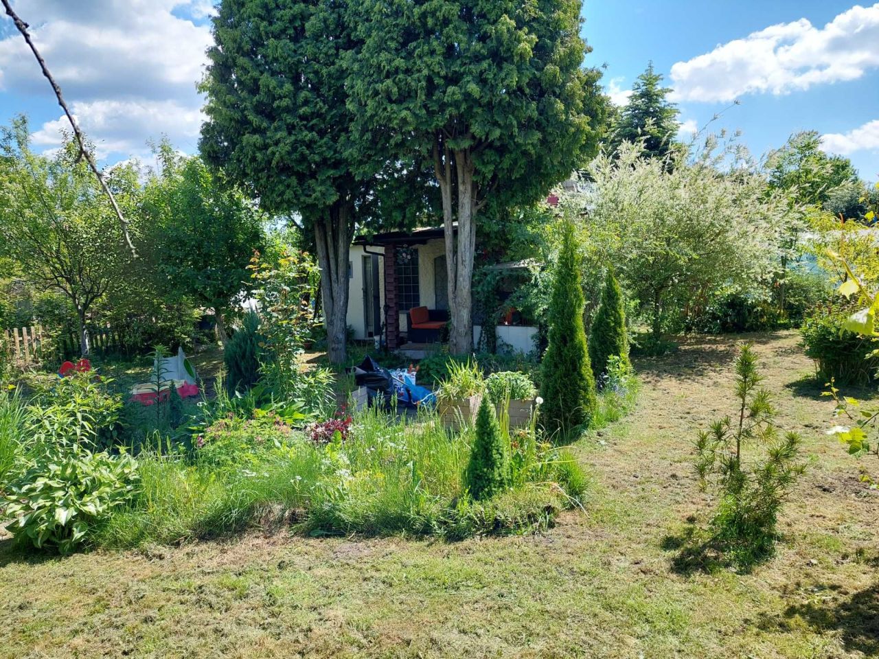 Działka rod Żory. Zdjęcie 6