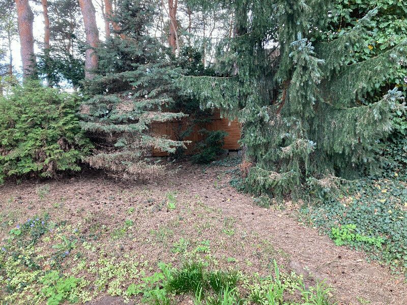 Działka rod Ząbki, ul. Wolności. Zdjęcie 3