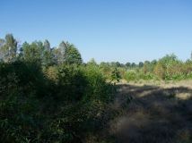 Działka rolno-budowlana Śmiardowo Złotowskie. Zdjęcie 1