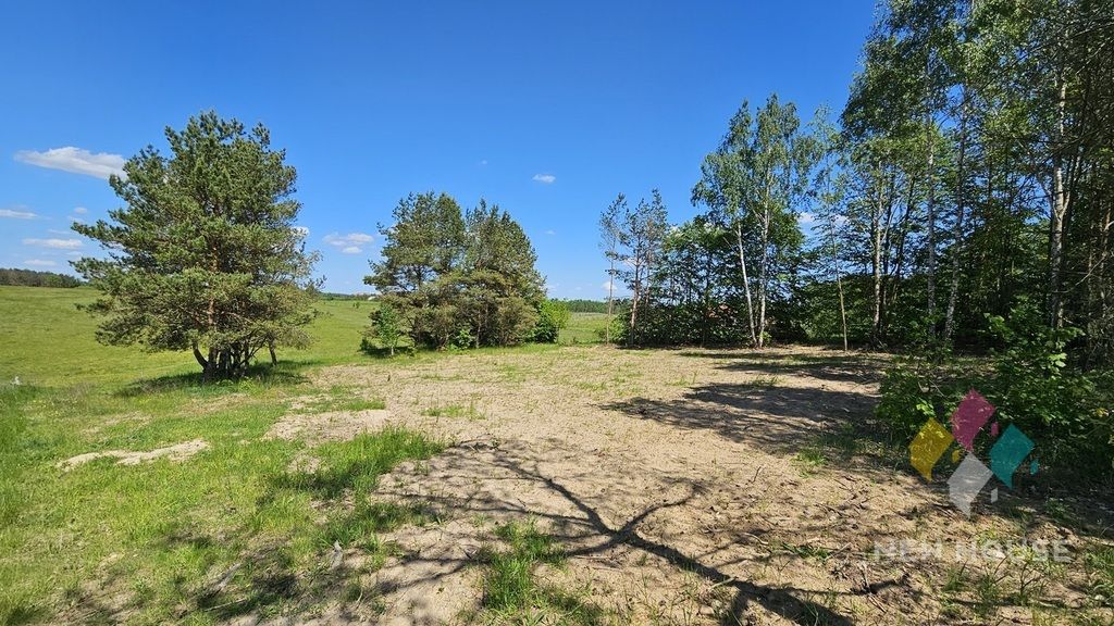 Działka Prawdowo. Zdjęcie 4