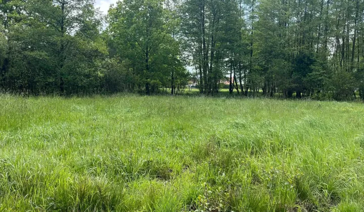 Działka budowlana Jasień