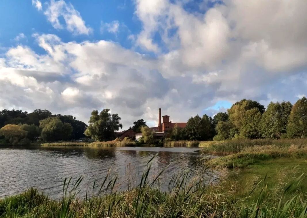 Działka rolna Juchowo. Zdjęcie 1