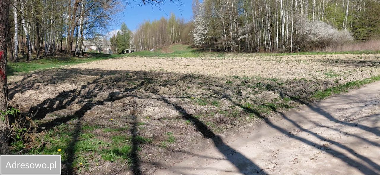 Działka siedliskowa Rzeczyca-Kolonia. Zdjęcie 3