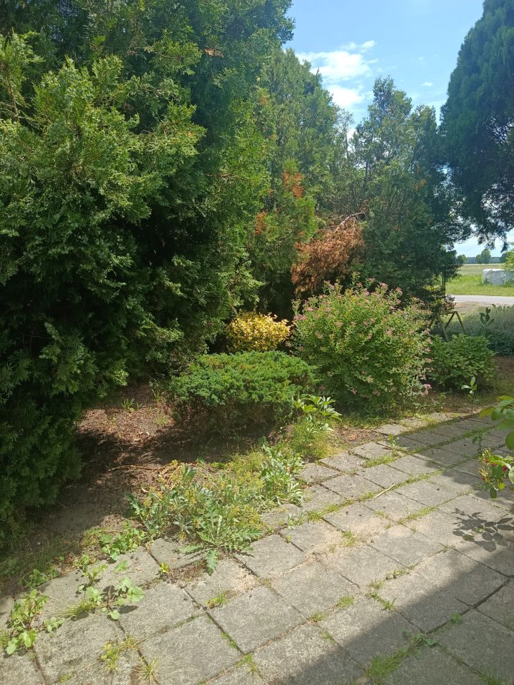 dom wolnostojący, 5 pokoi Walerianów. Zdjęcie 32